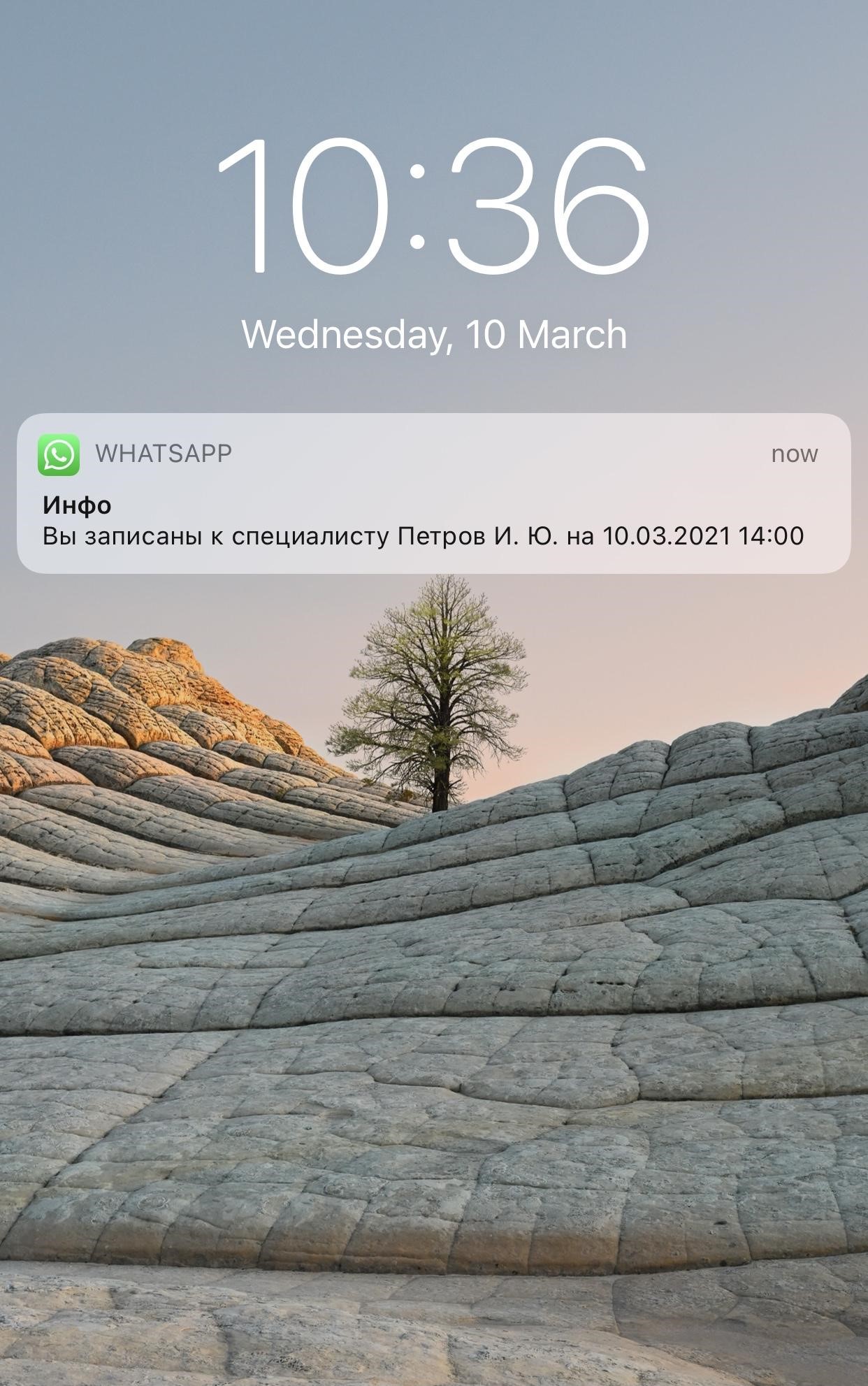 Пример сообщения в WhatsApp Пример сообщения в WhatsApp